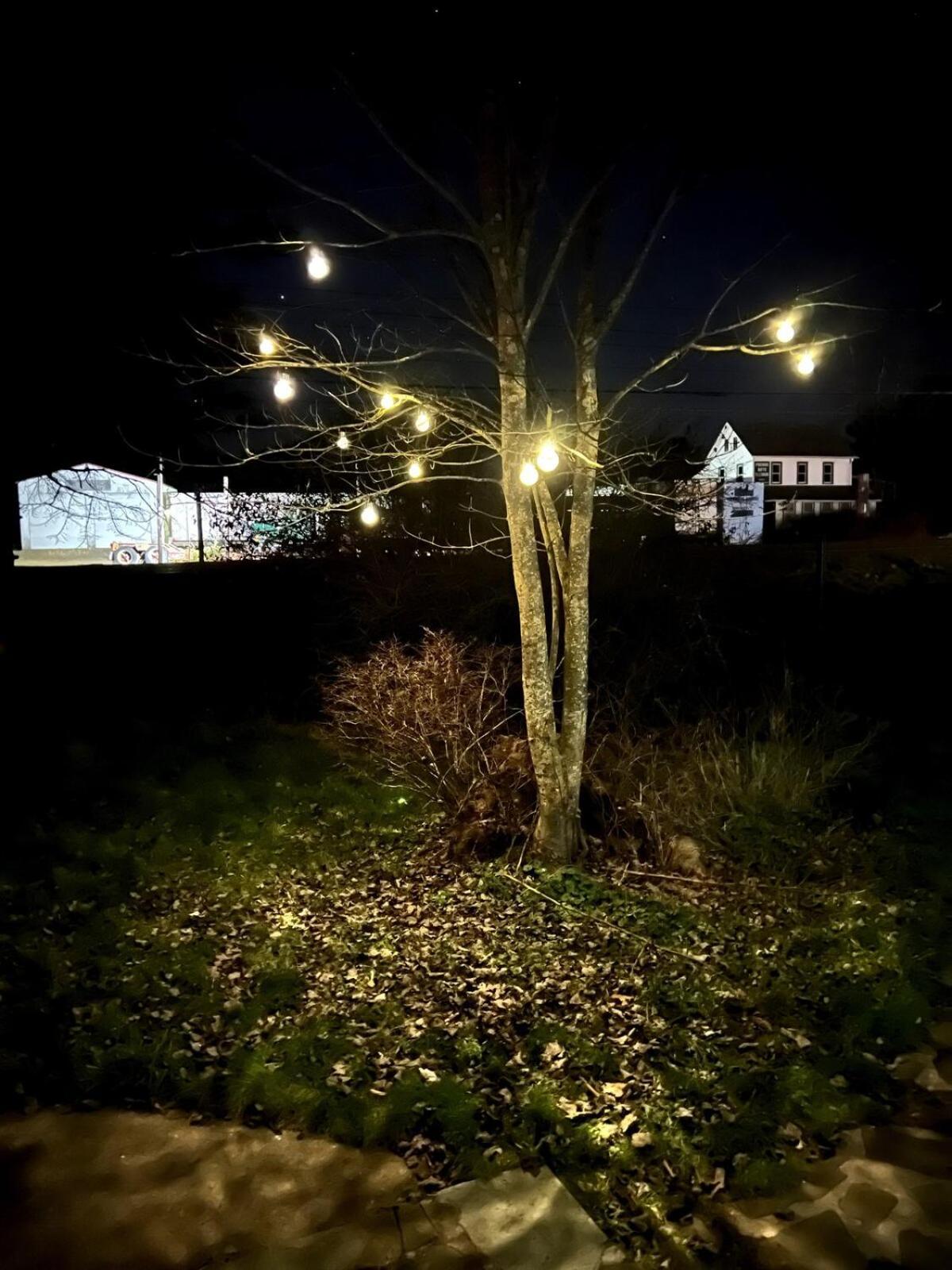 The Babbling Brooke Holiday home *